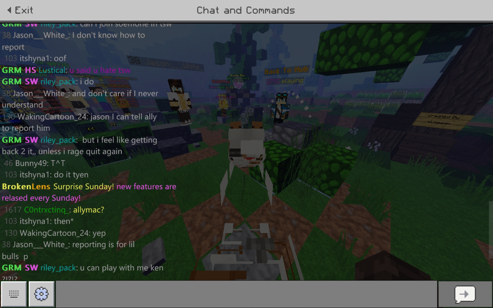Screenshot_20191223-204740_Minecraft.jpg