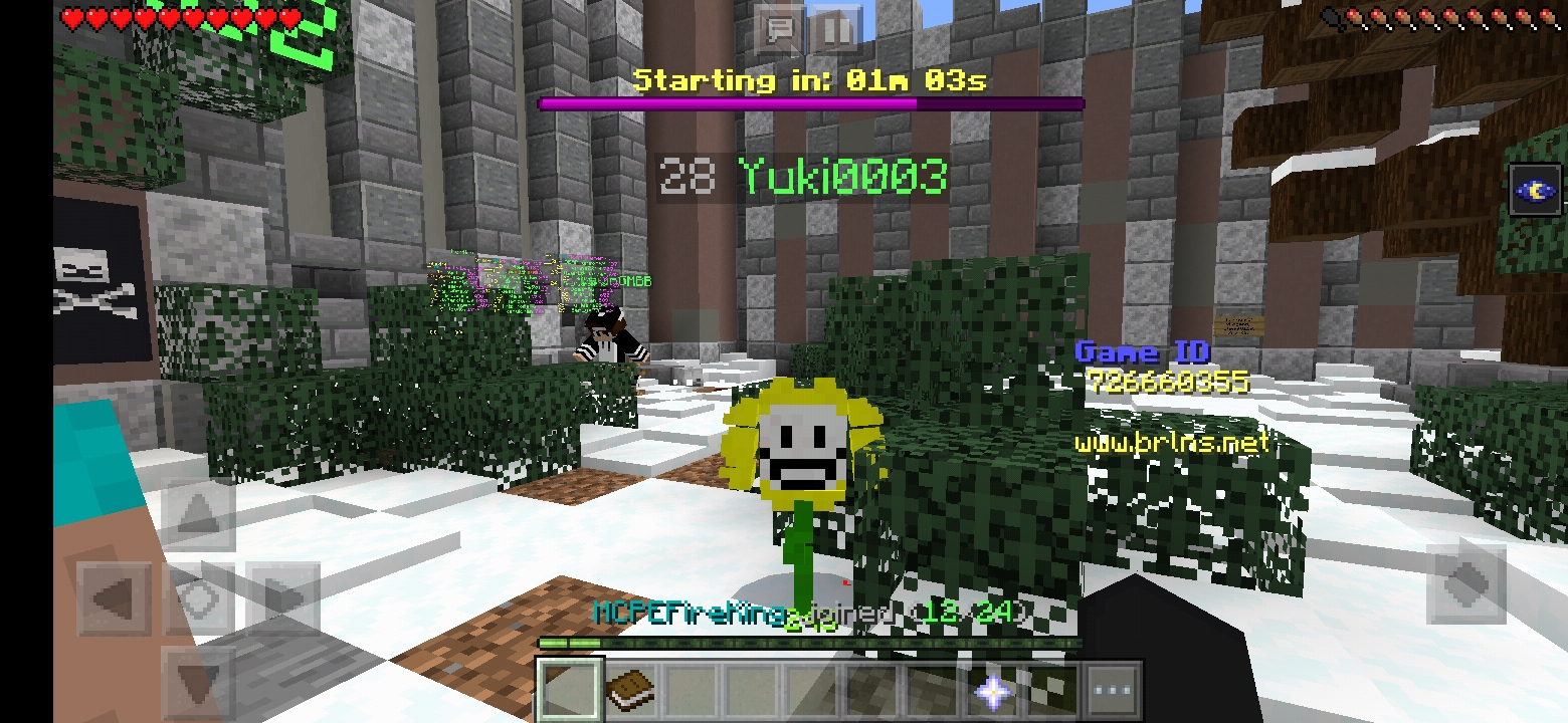 Screenshot_20191225-132402_Minecraft.jpg