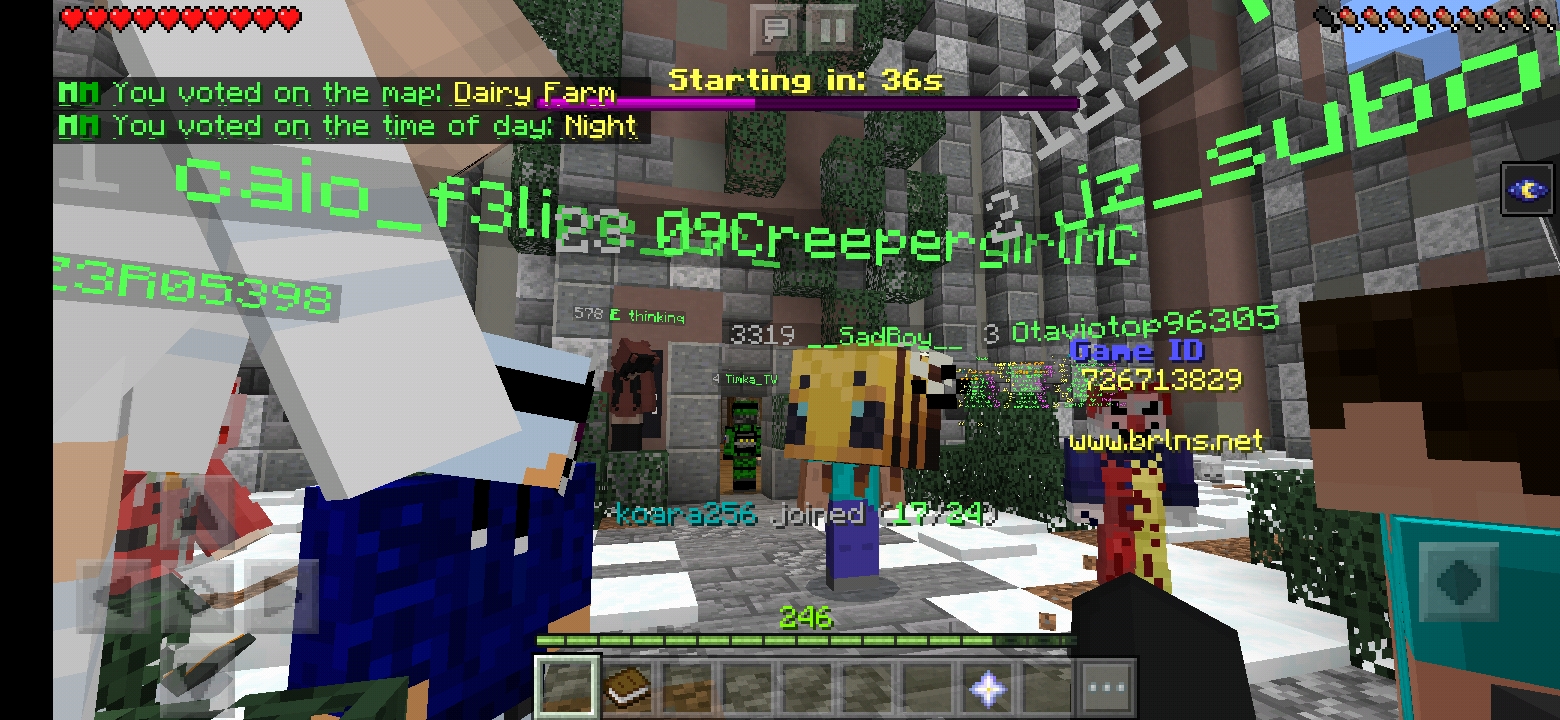 Screenshot_20191228-093743_Minecraft.jpg