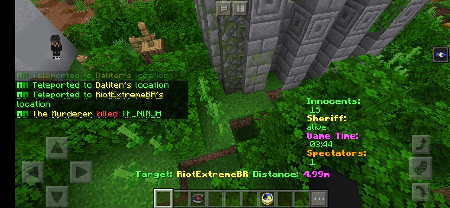 Screenshot_20191229-115345_Minecraft.jpg