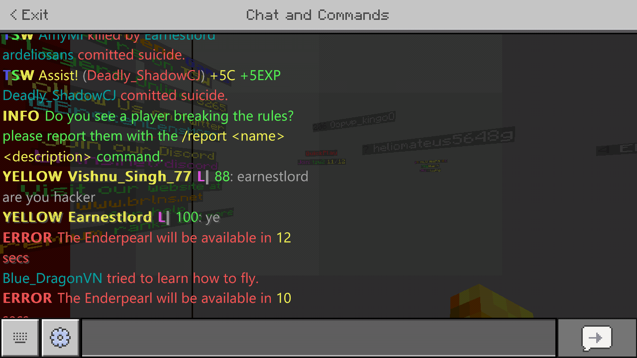 Screenshot_2020-03-31-17-55-11-962_com.mojang.minecraftpe.png
