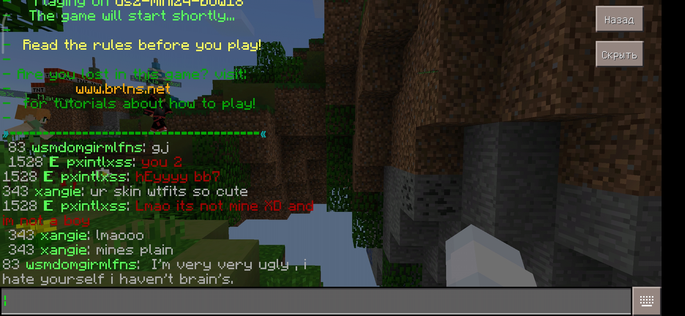 Screenshot_2020-04-05-21-28-38-734_com.mojang.minecraftpe.jpg