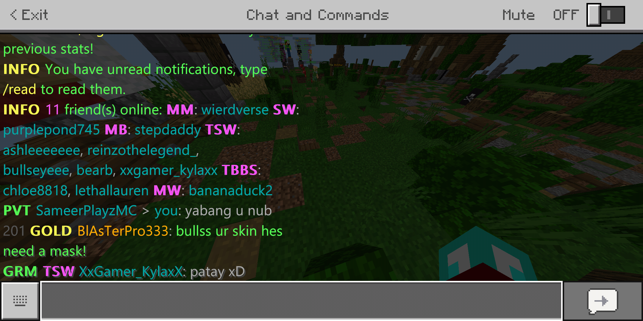 Screenshot_2020-04-07-11-48-00-904_com.mojang.minecraftpe.png