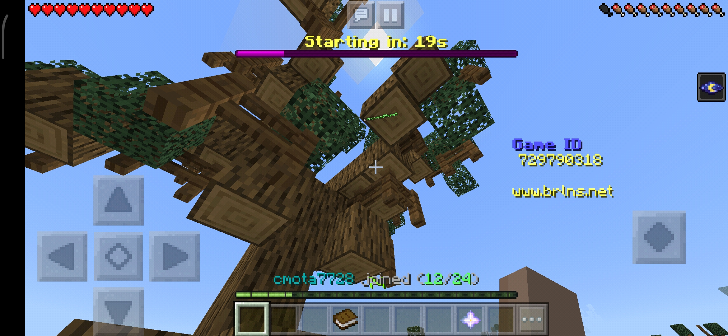 Screenshot_2020-05-31-22-24-20-181_com.mojang.minecraftpe.jpg
