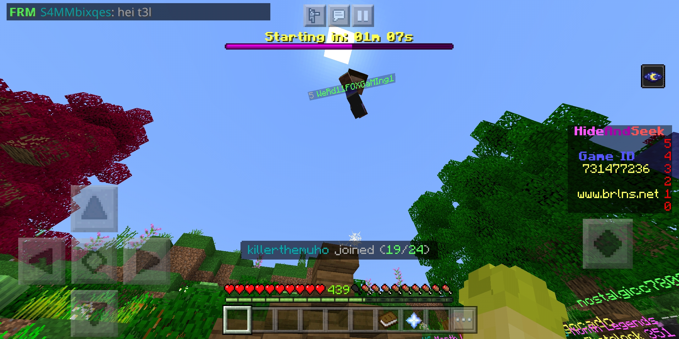 Screenshot_2020-08-26-17-53-53-225_com.mojang.minecraftpe.jpg