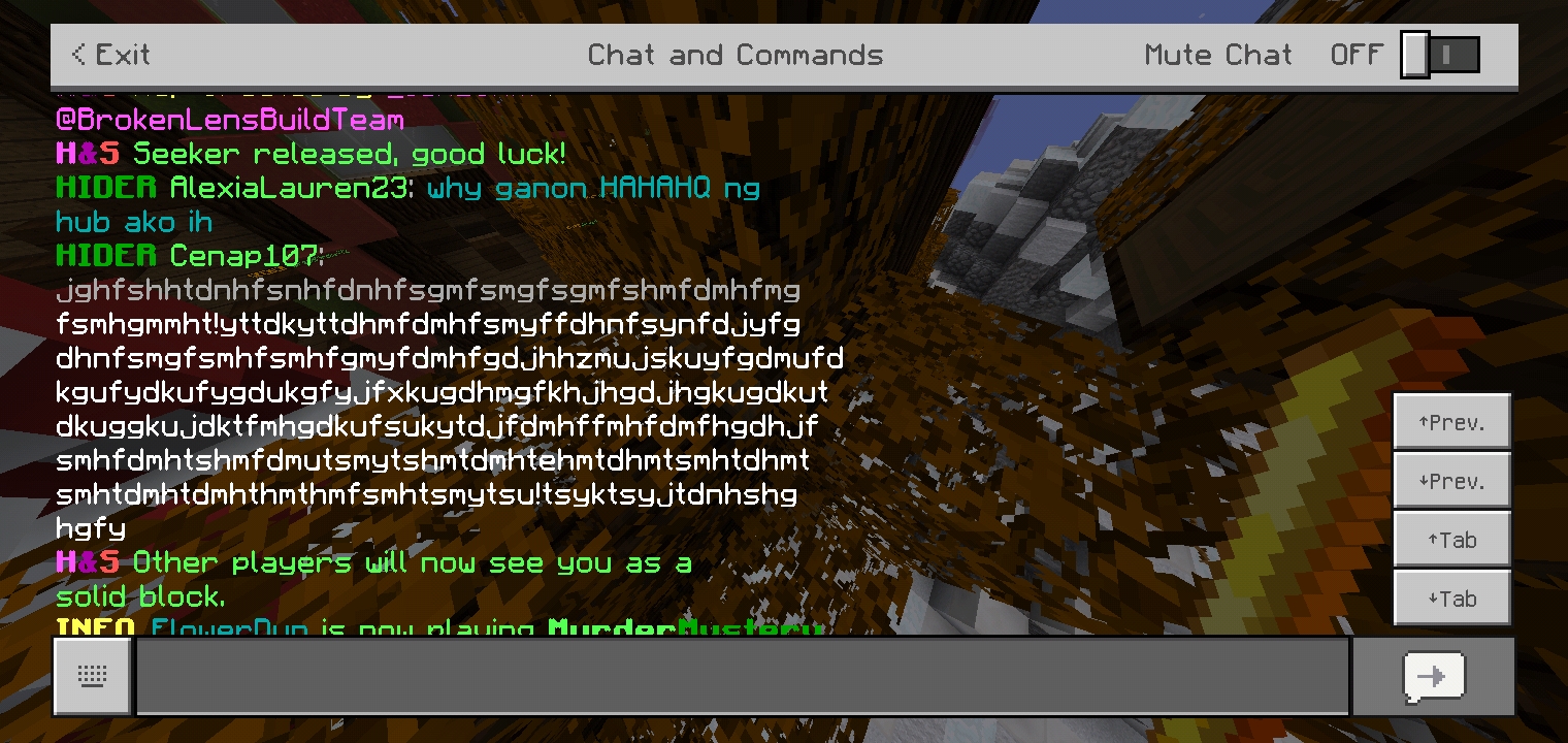 Screenshot_2020-12-07-23-43-19-28.jpg