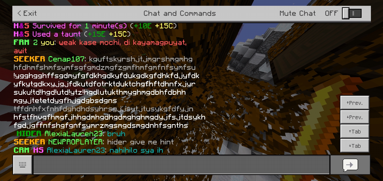 Screenshot_2020-12-07-23-43-24-85.jpg
