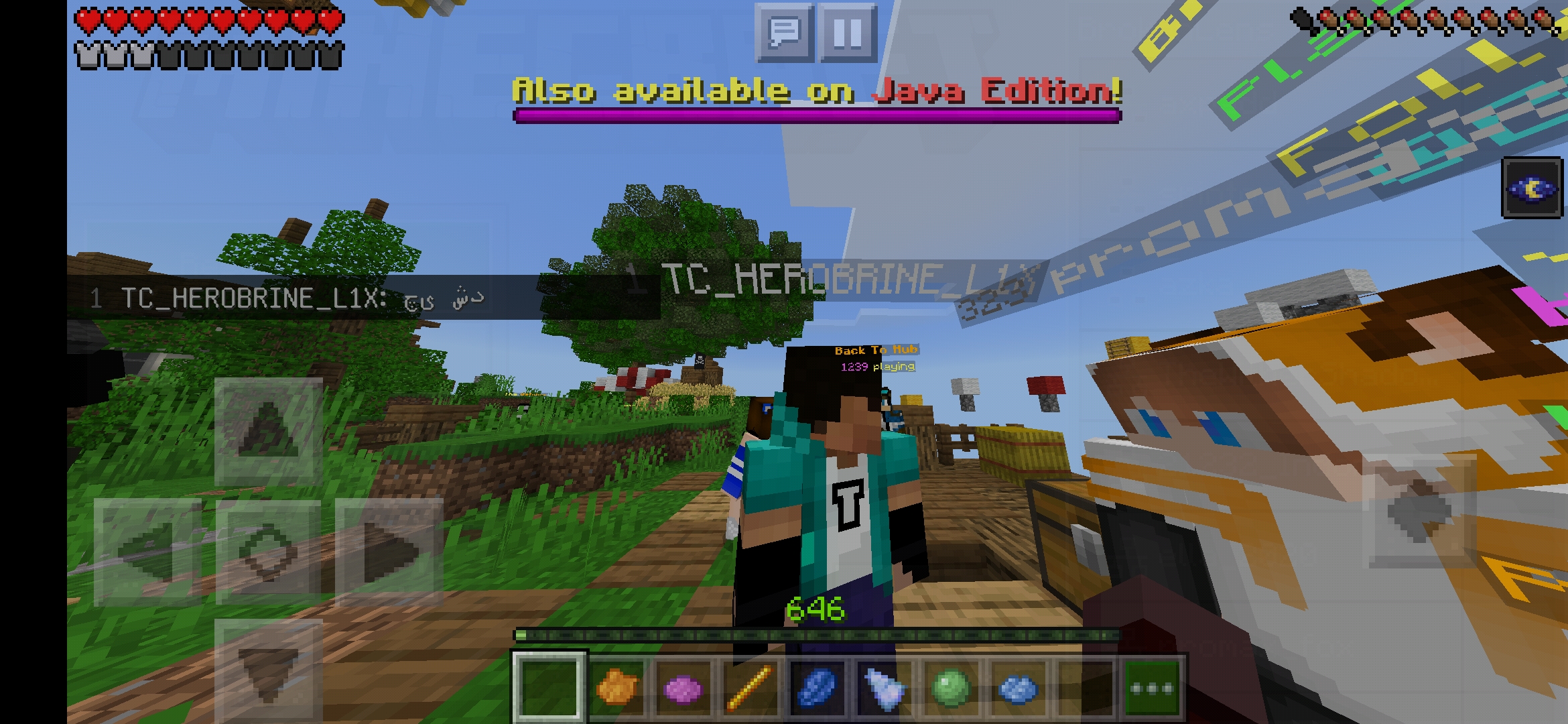 Screenshot_2020-12-30-02-46-09-413_com.mojang.minecraftpe.jpg