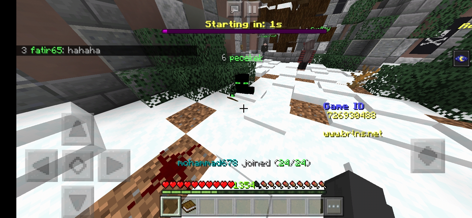 Screenshot_20200108_222302_com.mojang.minecraftpe.jpg