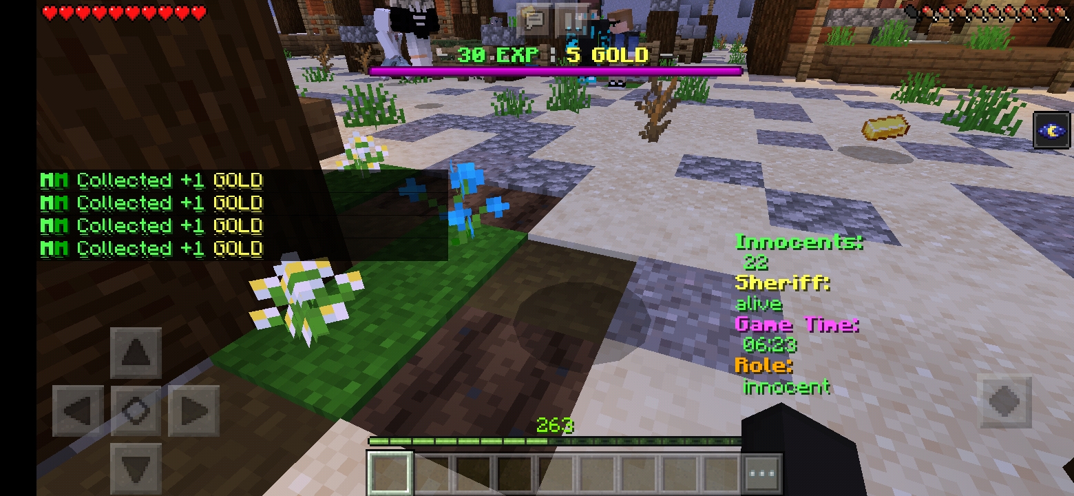 Screenshot_20200111-112826_Minecraft.jpg