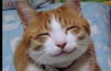 Screenshot_20200112-190119.png