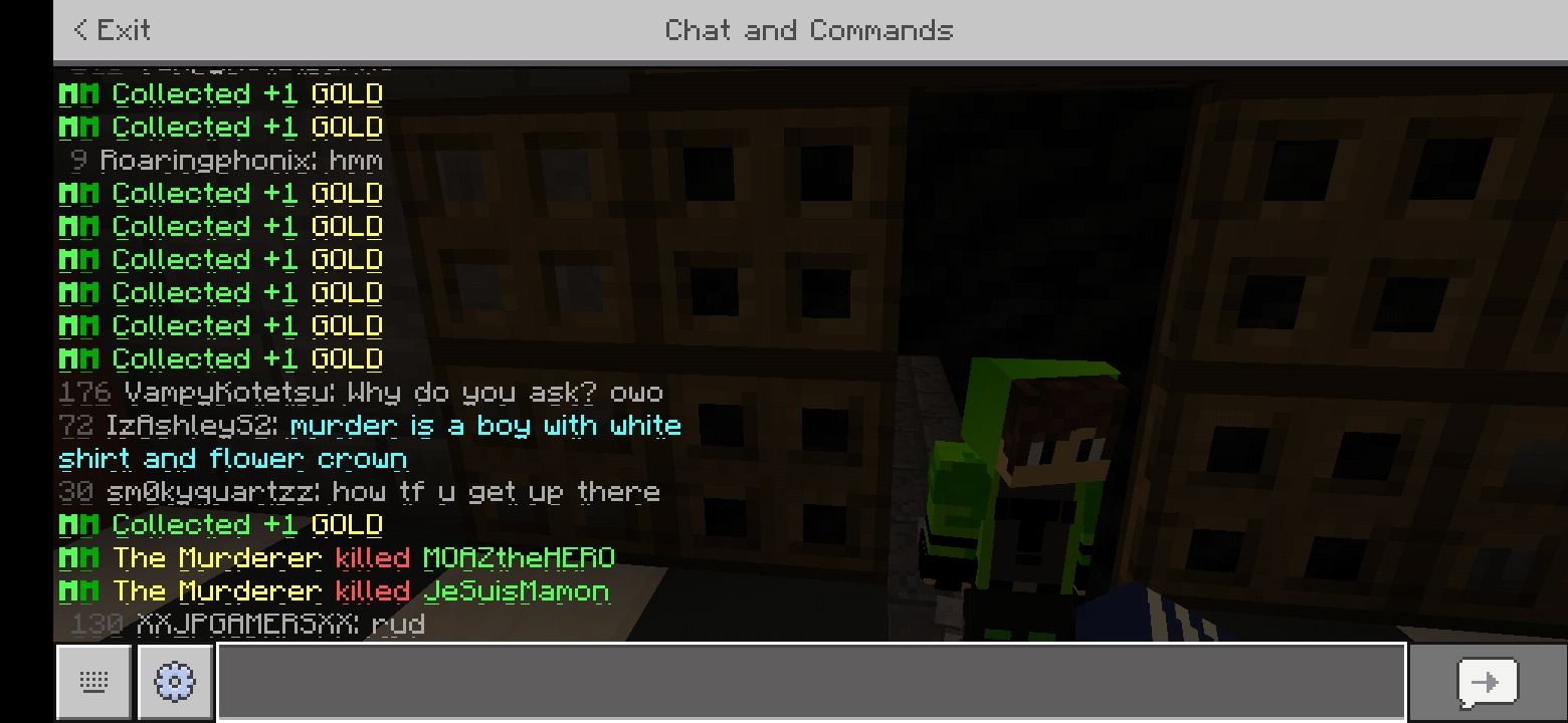 Screenshot_20200117-173817_Minecraft.jpg