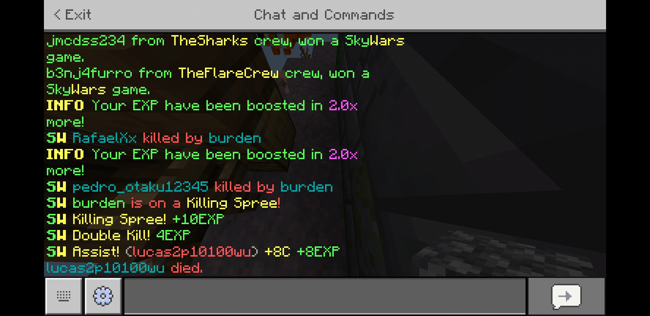 Screenshot_20200119-160836_Minecraft.jpg