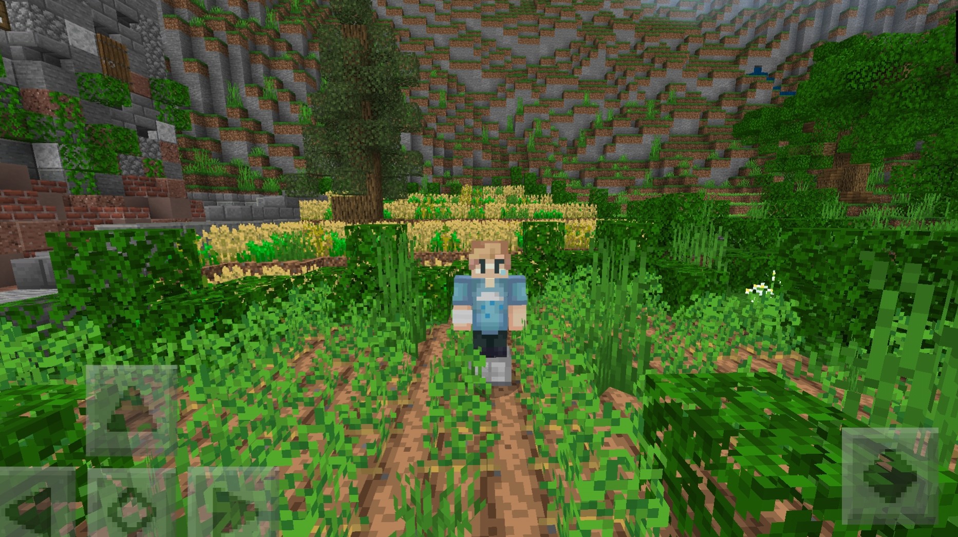 Screenshot_20200120-162003_1.jpg