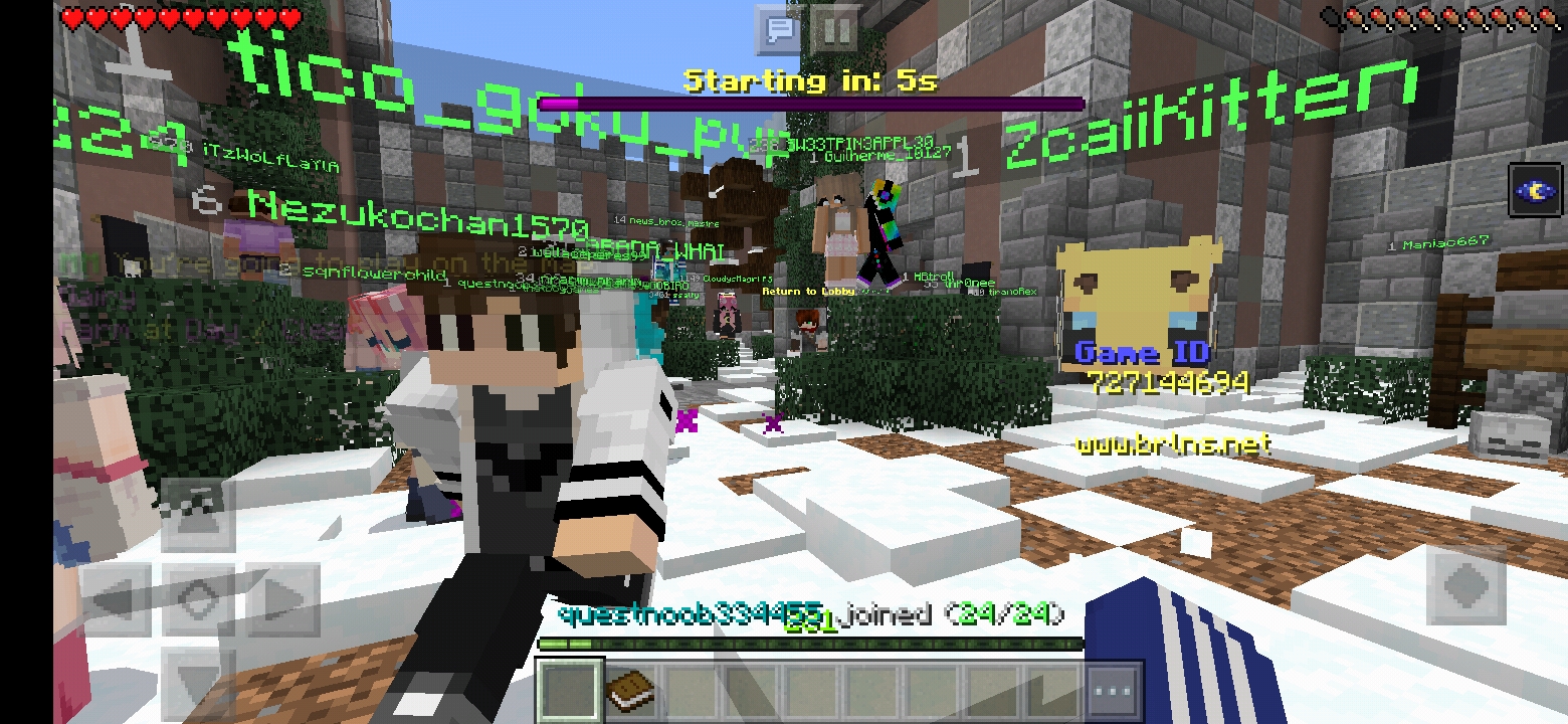 Screenshot_20200120-162006_Minecraft.jpg