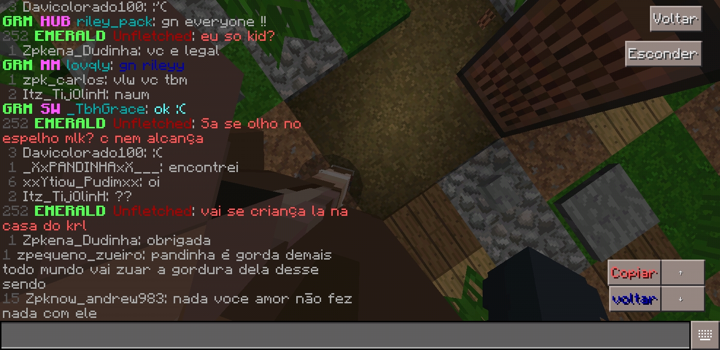 Screenshot_20200124-204532_Minecraft - Pocket Edition.jpg
