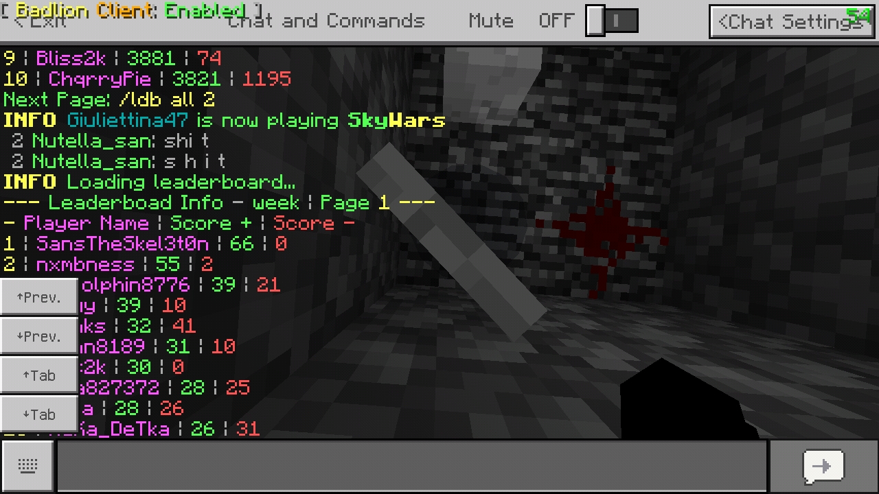 Screenshot_20200204-200935_Minecraft.jpg