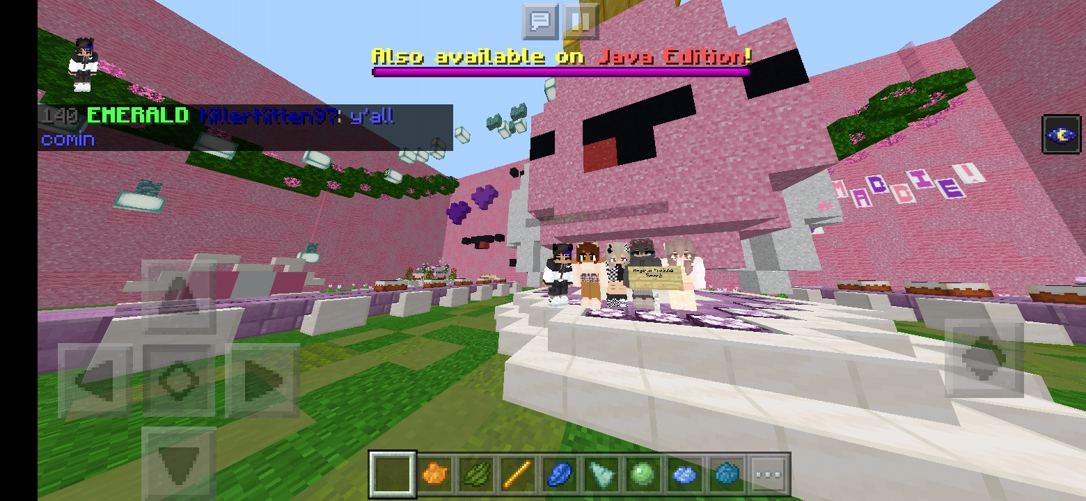 Screenshot_20200214_090624_com.mojang.minecraftpe.jpg