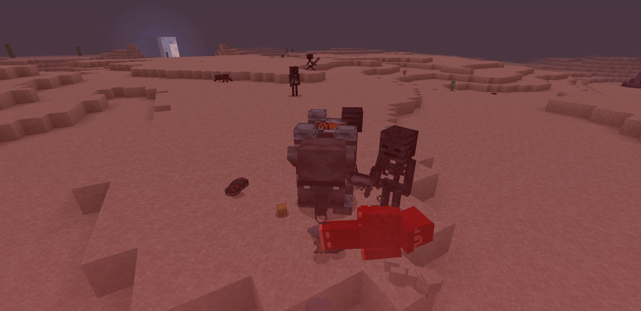 Screenshot_20200222-152140_Minecraft.jpg