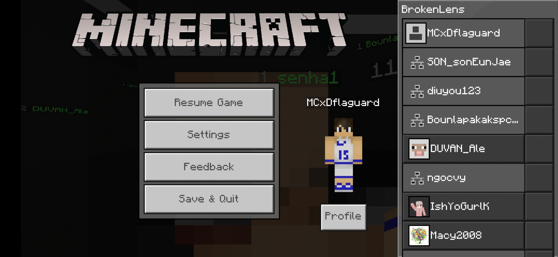 Screenshot_20200225_125120_com.mojang.minecraftpe.jpg