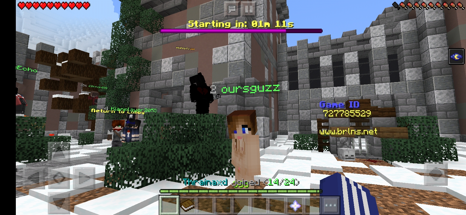 Screenshot_20200301-121045_Minecraft.jpg