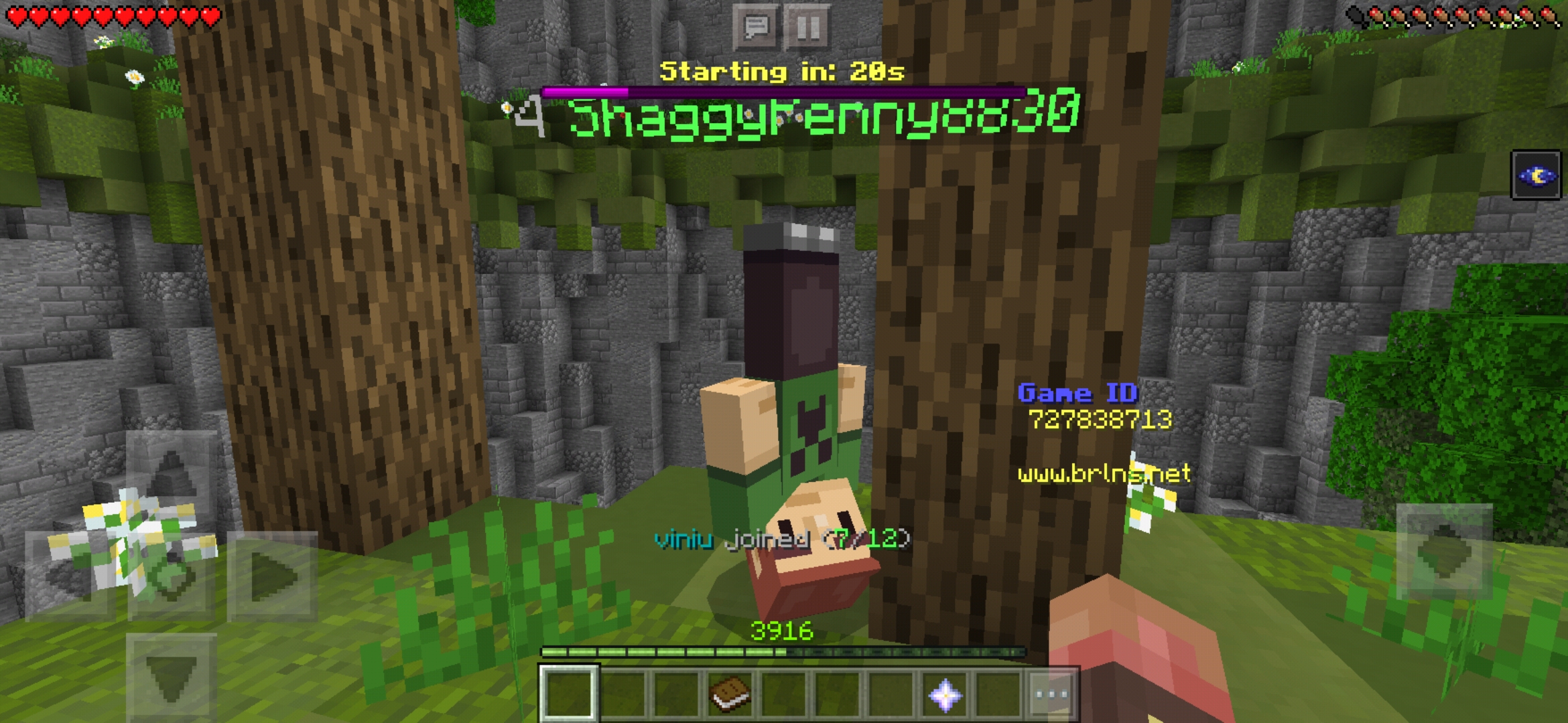Screenshot_20200305-184059_Minecraft.jpg