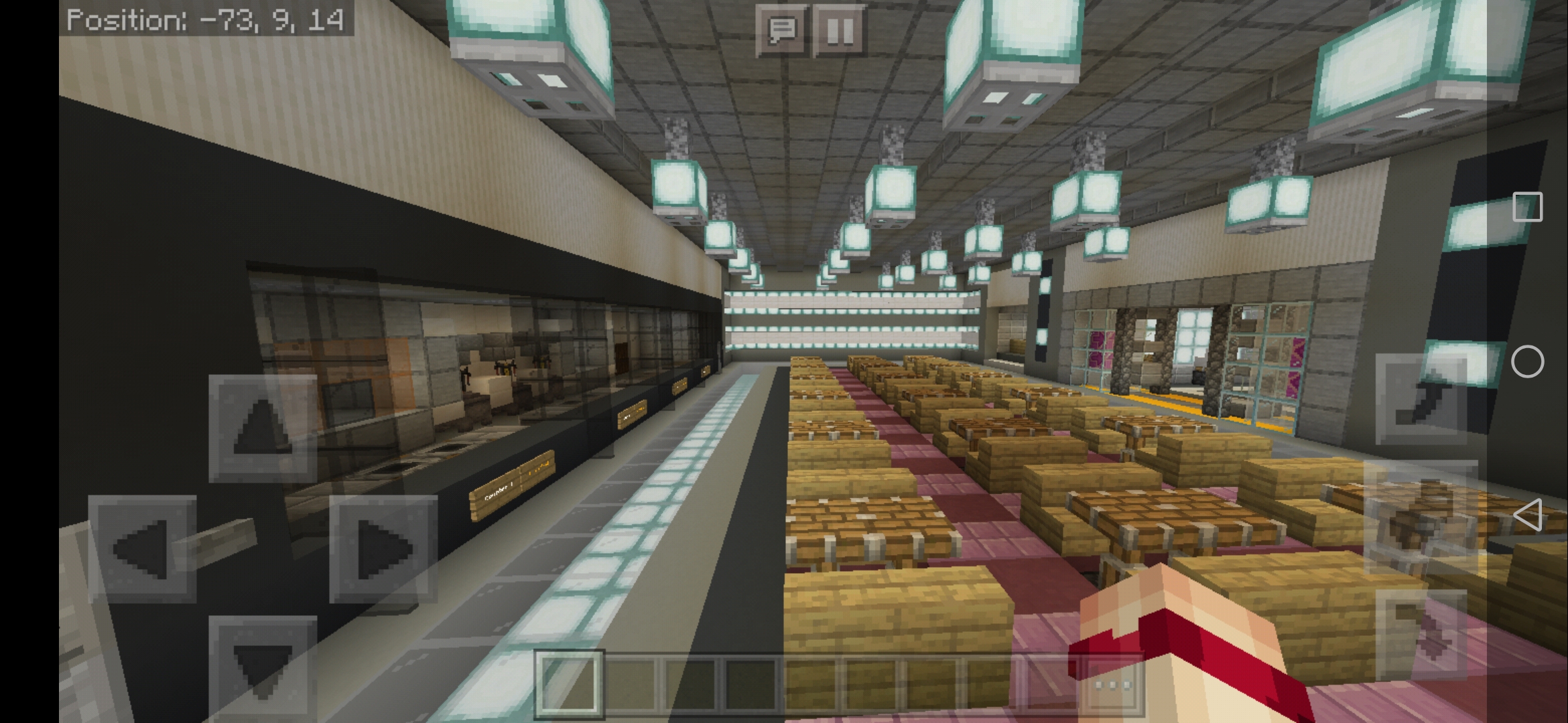 Screenshot_20200310_112053_com.mojang.minecraftpe.jpg