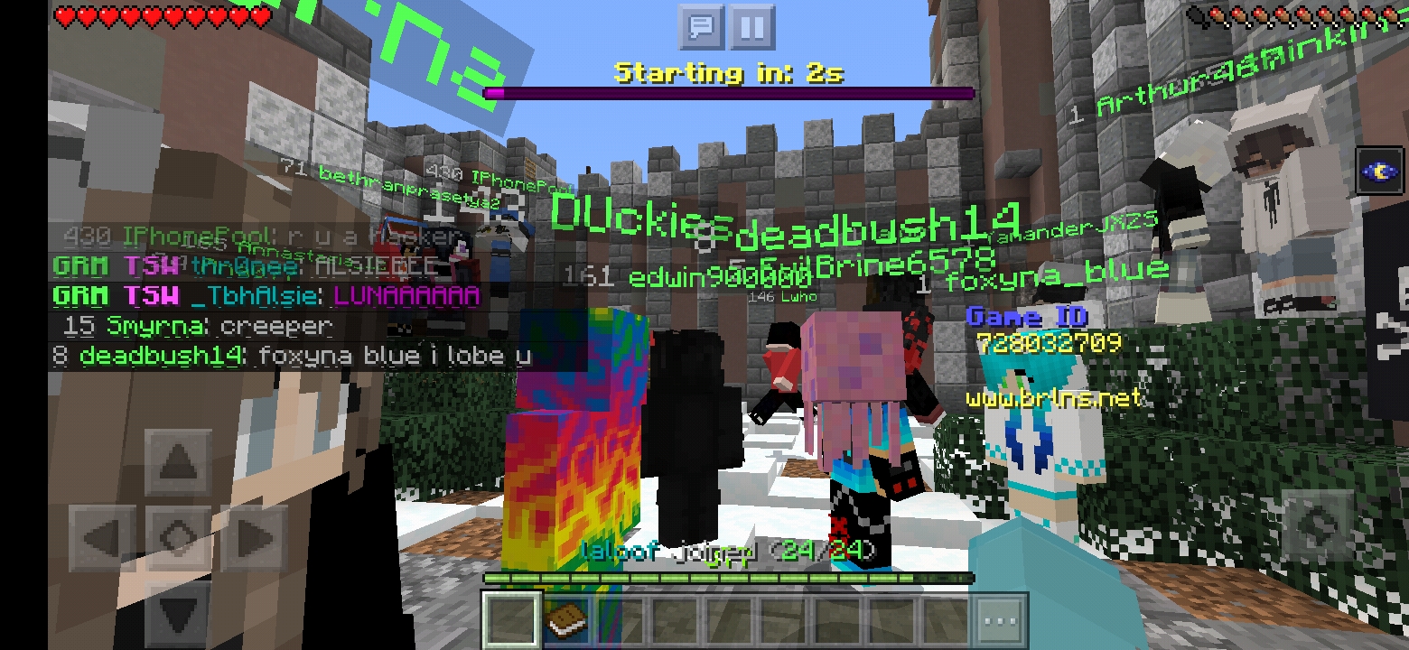 Screenshot_20200317-163825_Minecraft.jpg