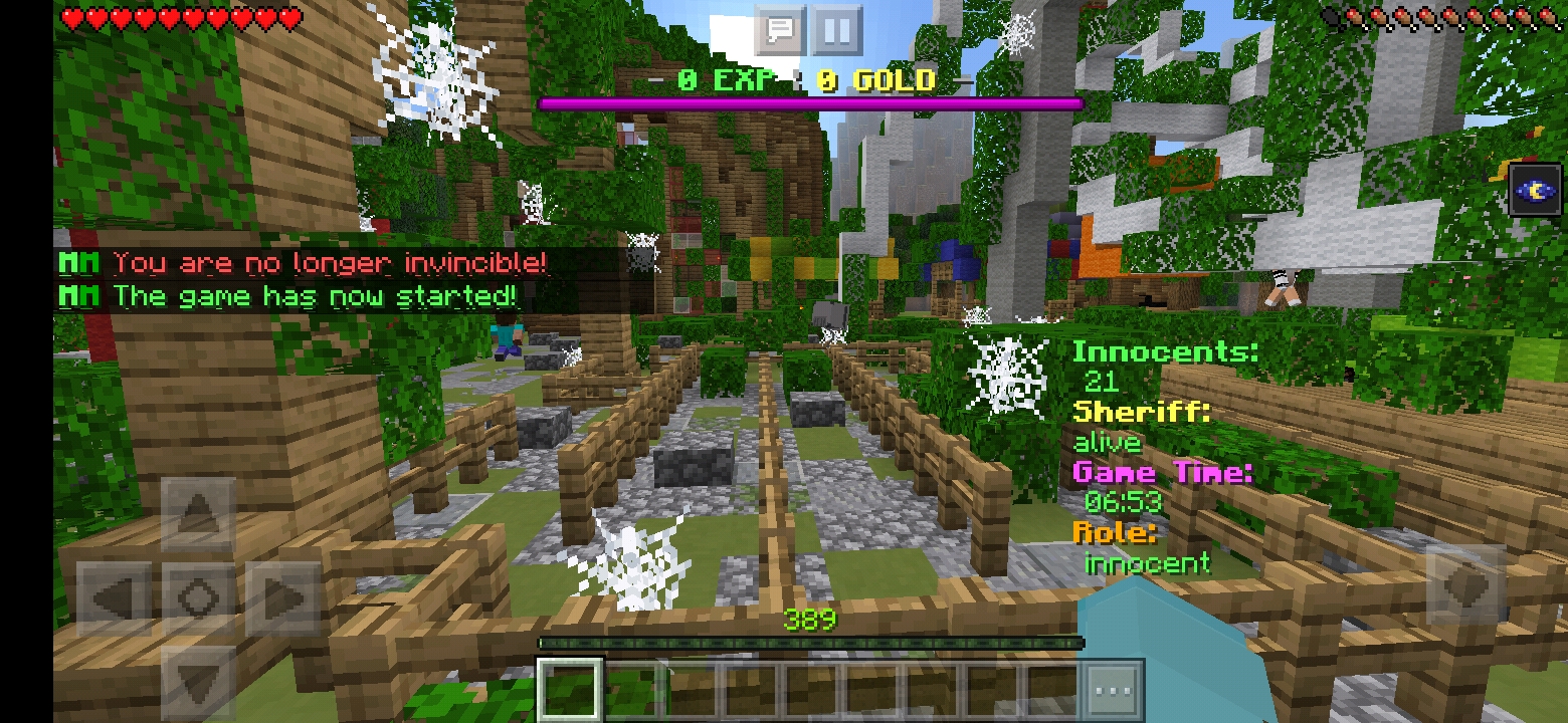 Screenshot_20200319-080524_Minecraft.jpg