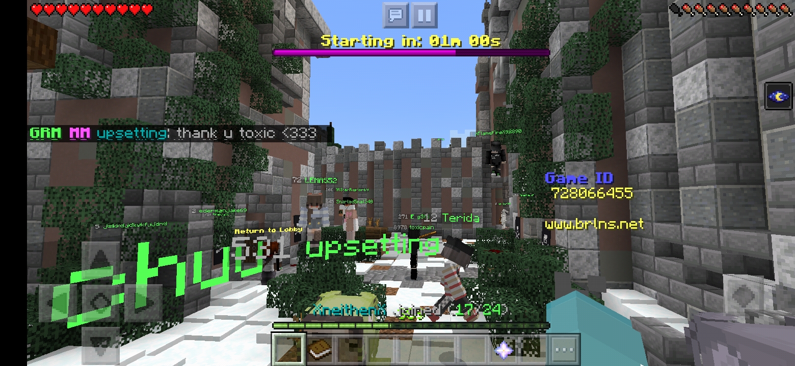 Screenshot_20200319-094043_Minecraft.jpg