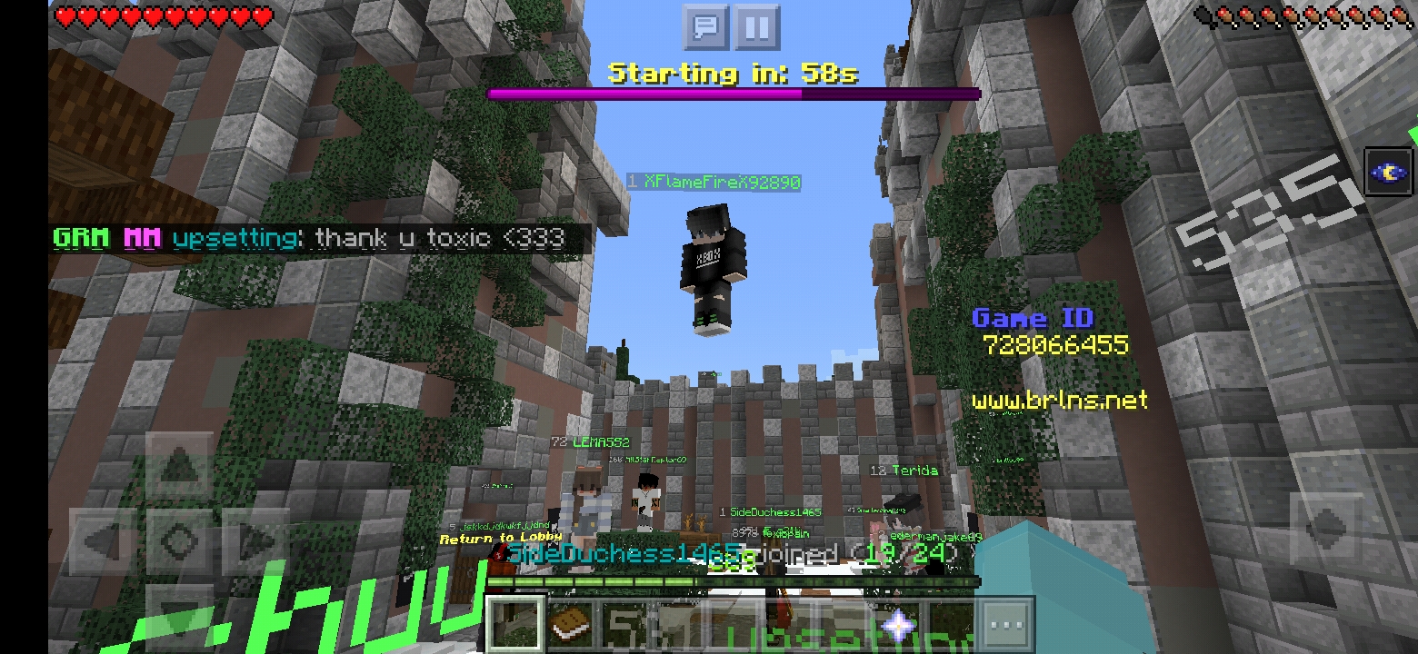 Screenshot_20200319-094045_Minecraft.jpg