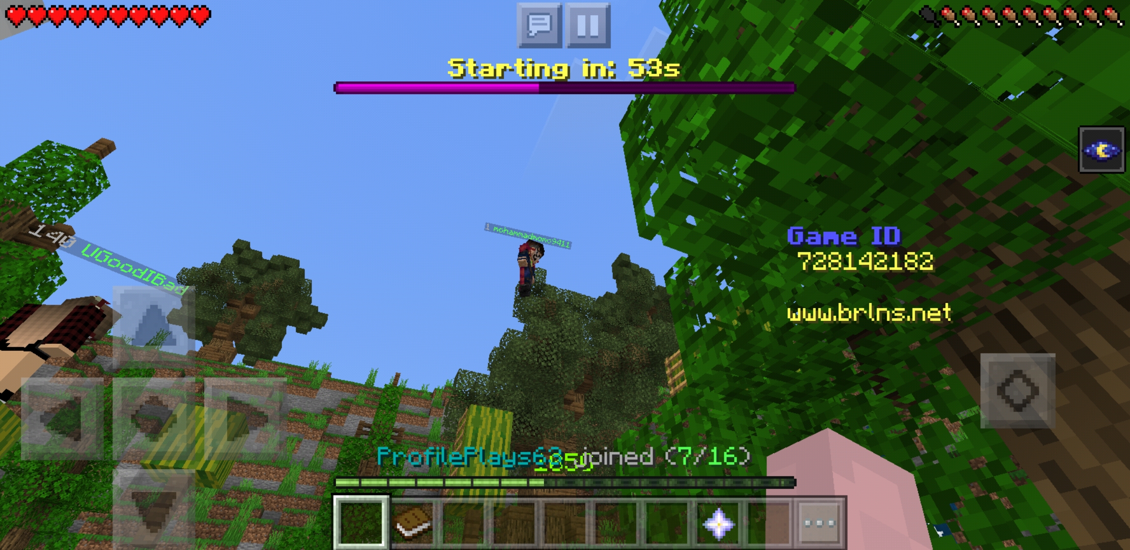 Screenshot_20200323-144724_Minecraft.jpg