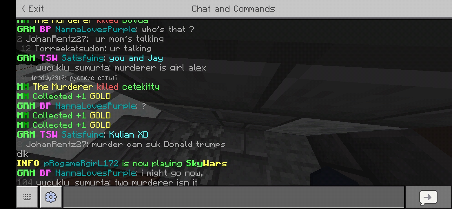 Screenshot_20200325_172526_com.mojang.minecraftpe.jpg
