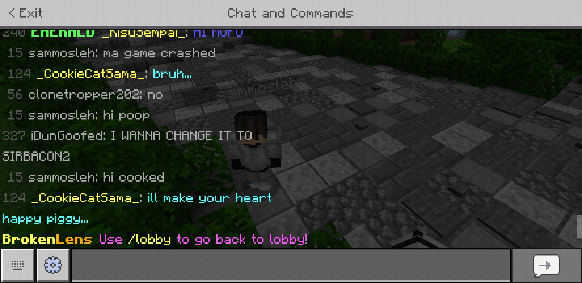 Screenshot_20200329-210649_Minecraft.jpg