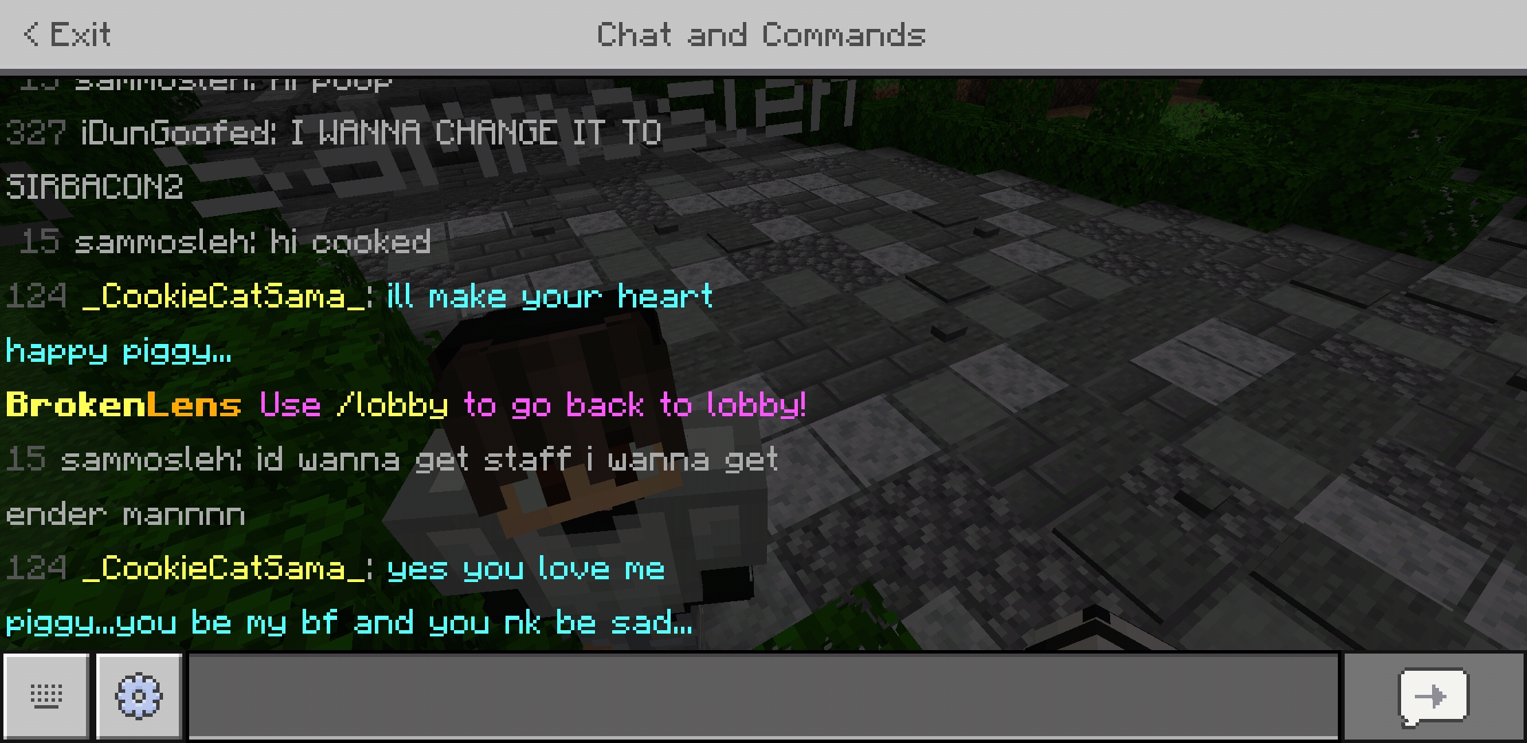Screenshot_20200329-210654_Minecraft.jpg