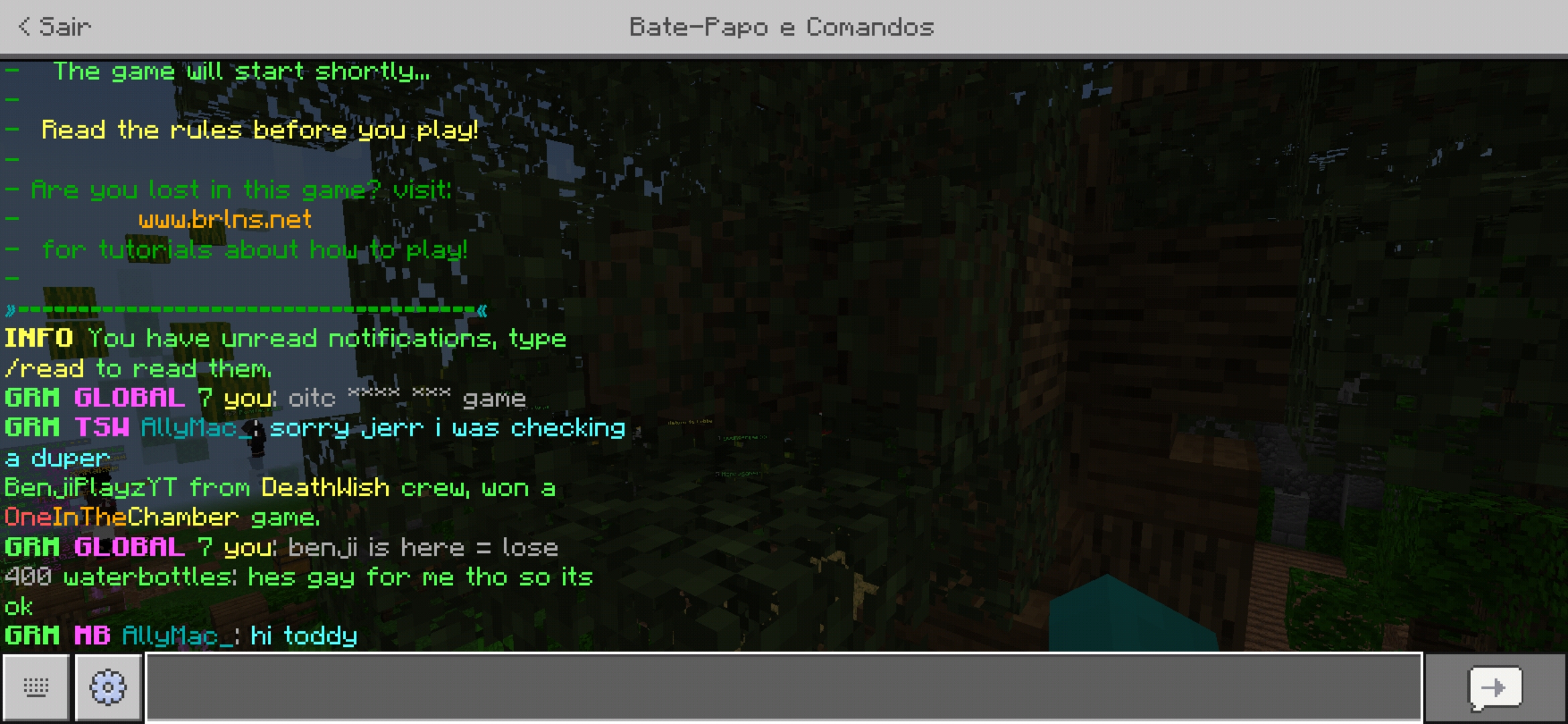 Screenshot_20200409-220202_Minecraft.jpg