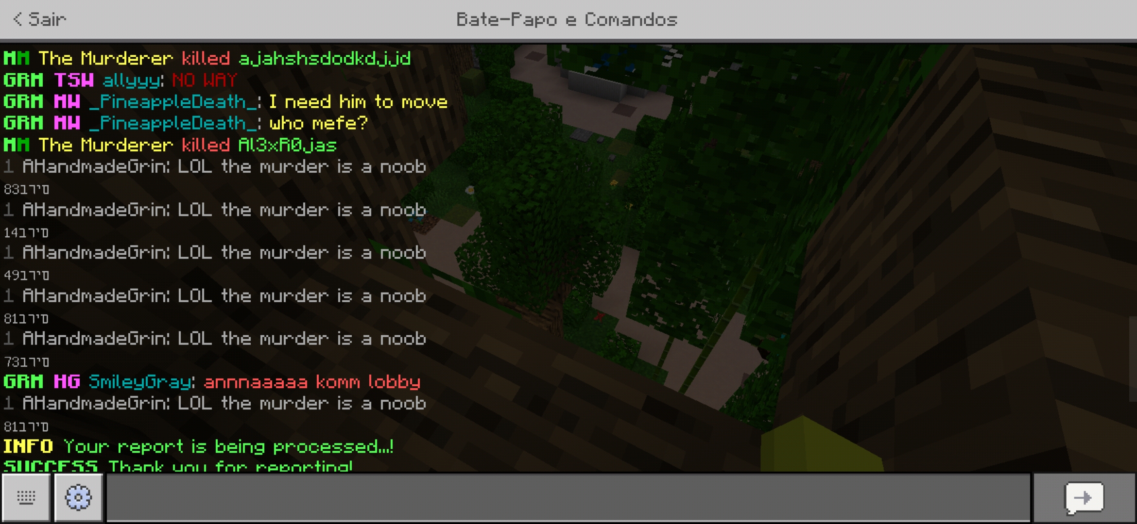 Screenshot_20200421-152033_Minecraft.jpg