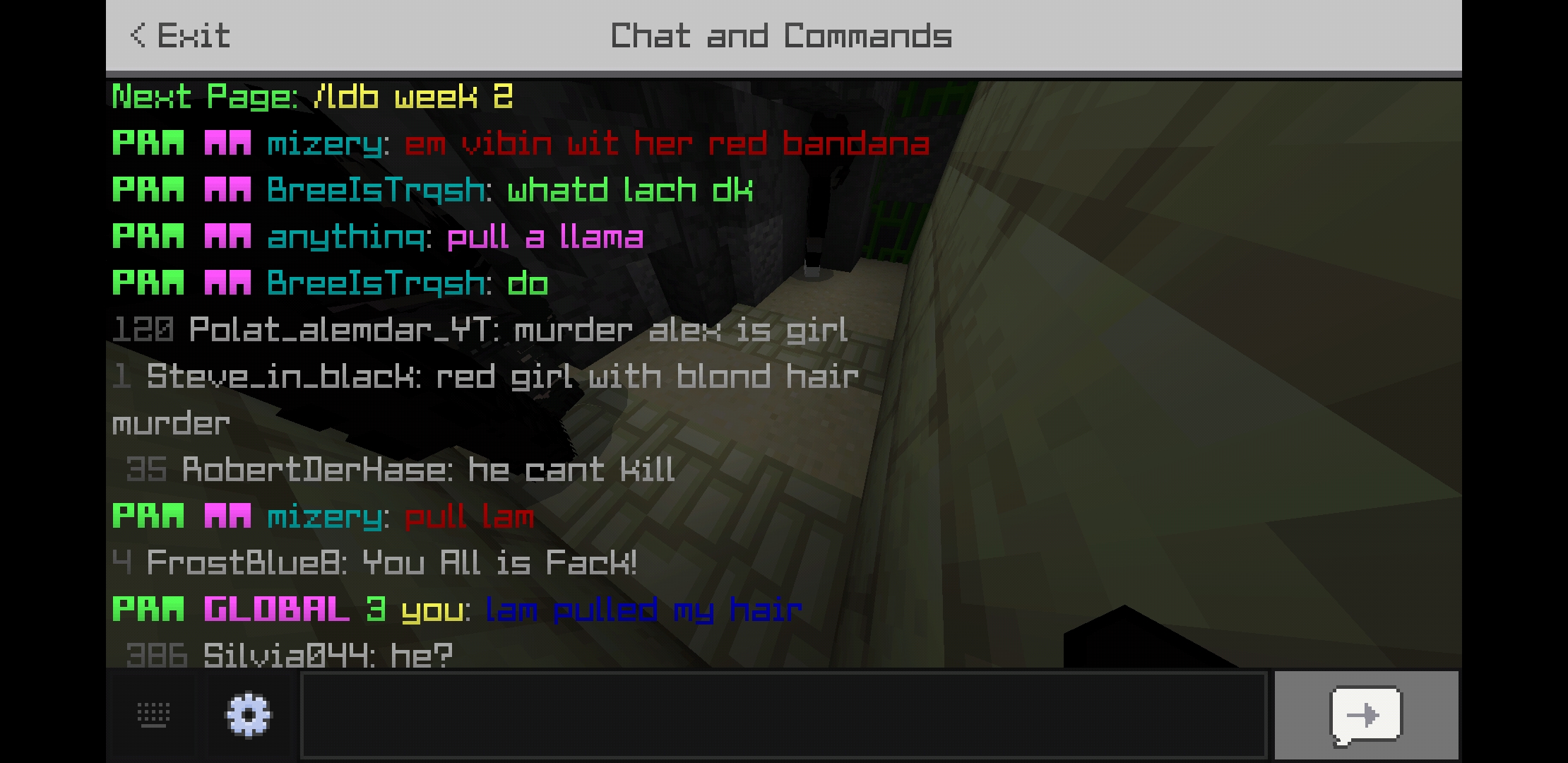Screenshot_20200422-035533_Minecraft.jpg