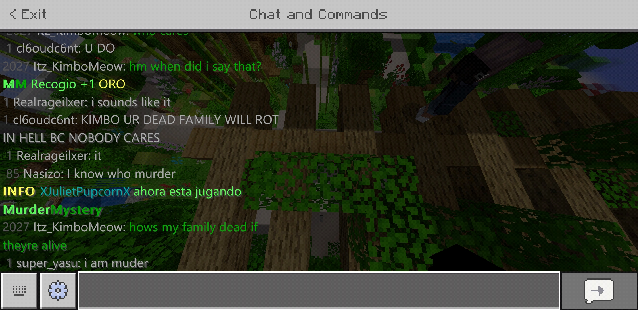 Screenshot_20200423-233621_Minecraft.jpg