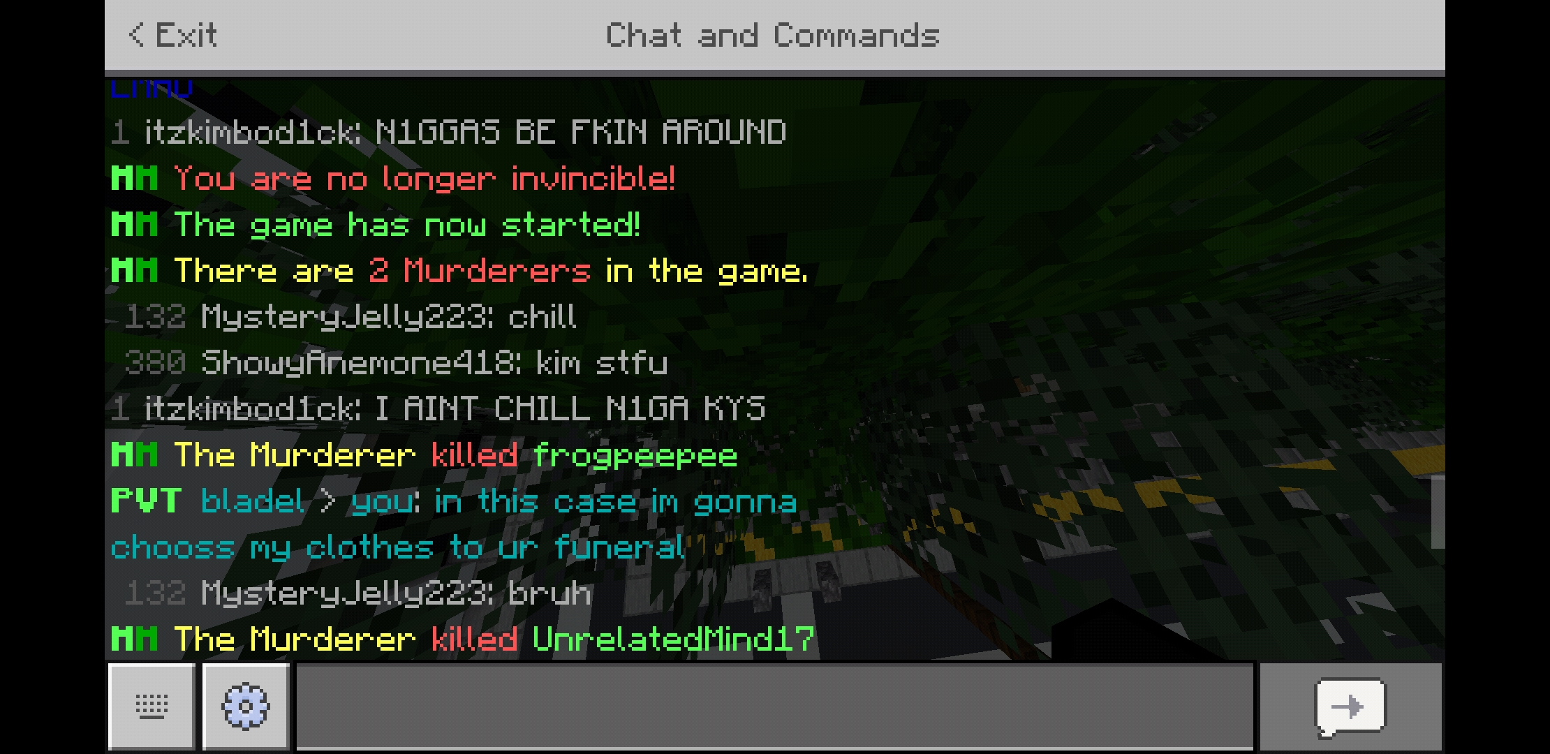 Screenshot_20200424-000351_Minecraft.jpg