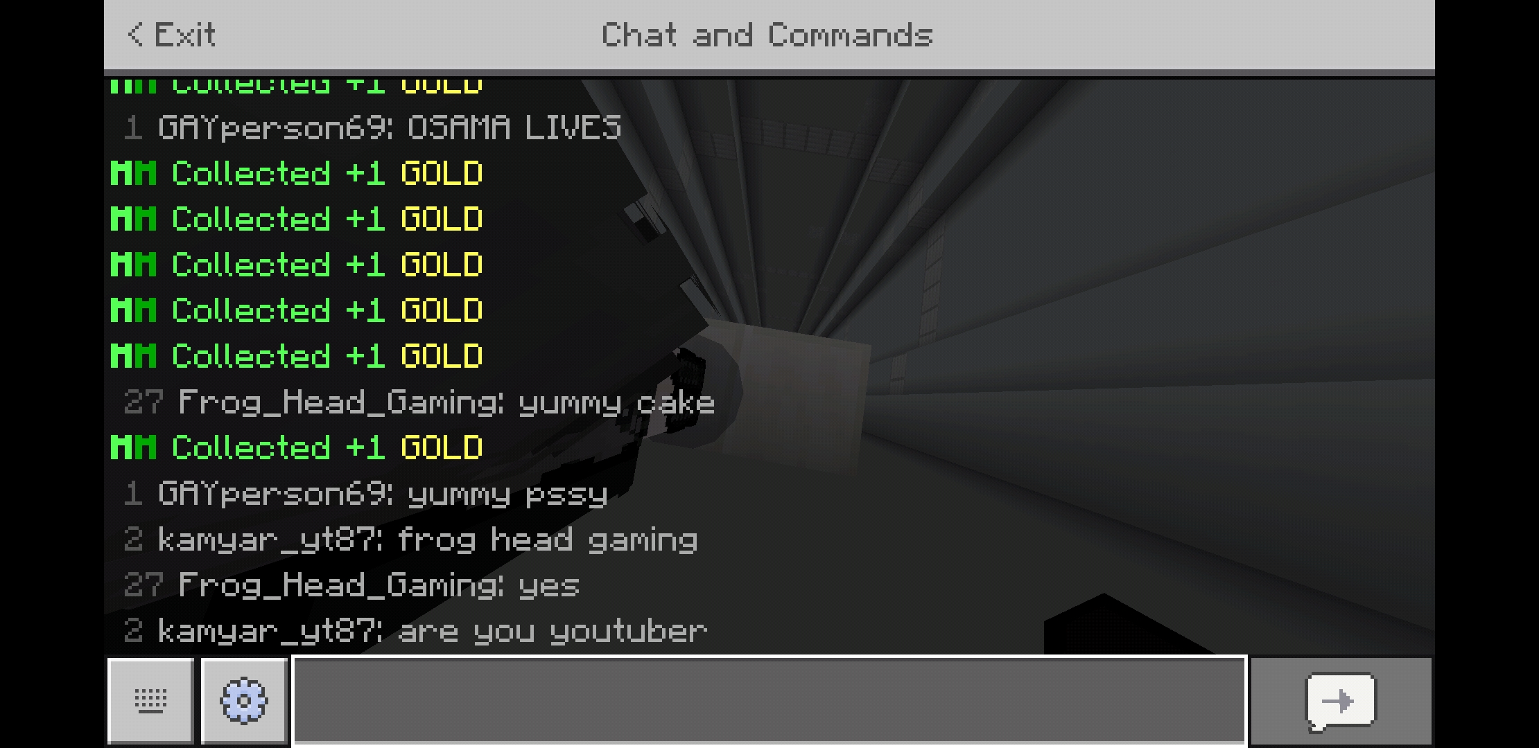 Screenshot_20200425-013206_Minecraft.jpg