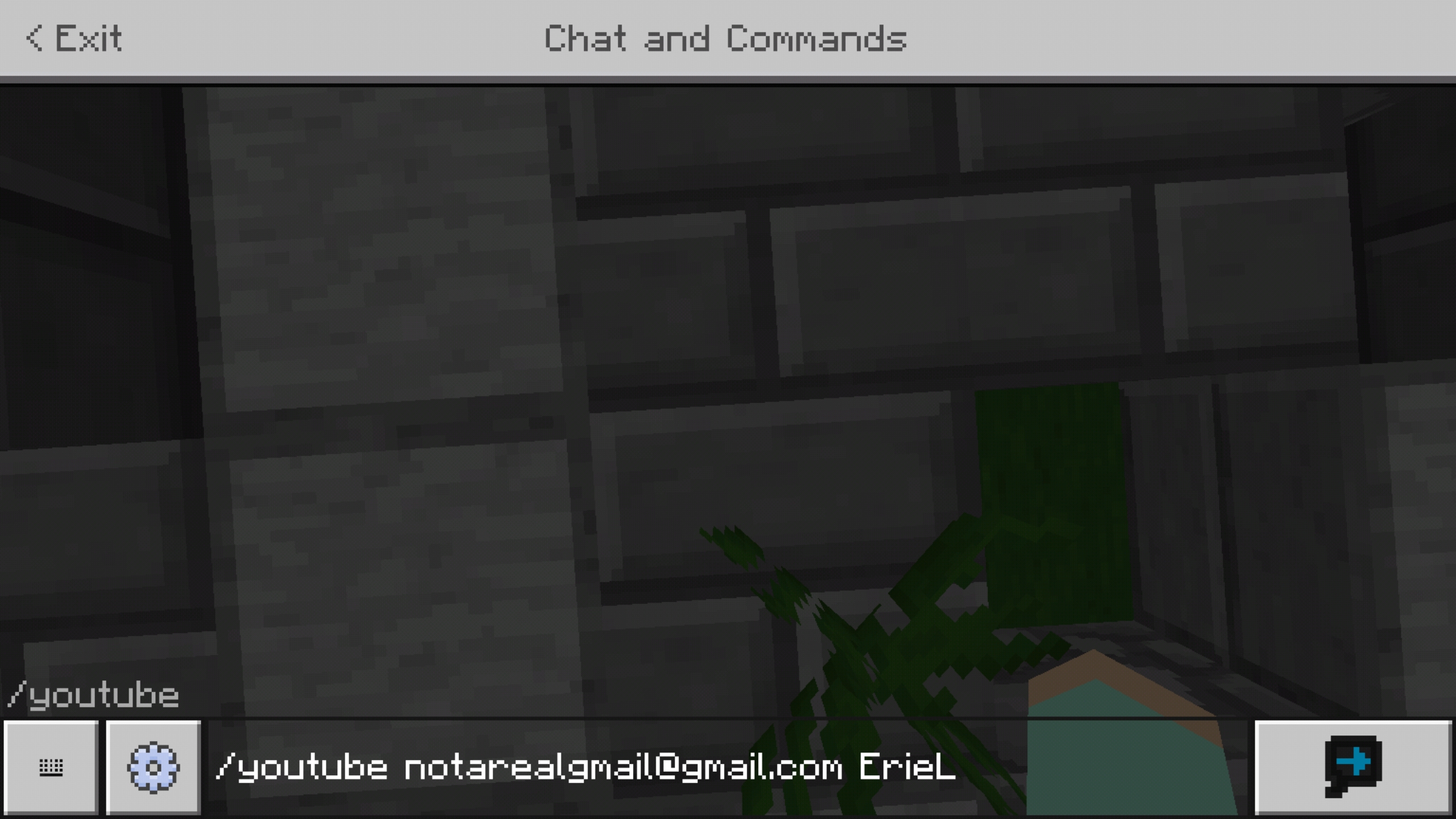 Screenshot_20200429-135740_Minecraft.jpg