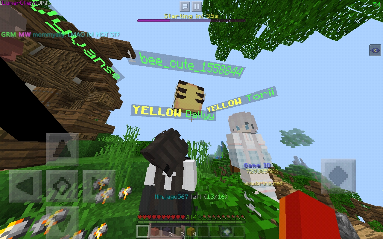 Screenshot_20200510-001129_Minecraft.jpg