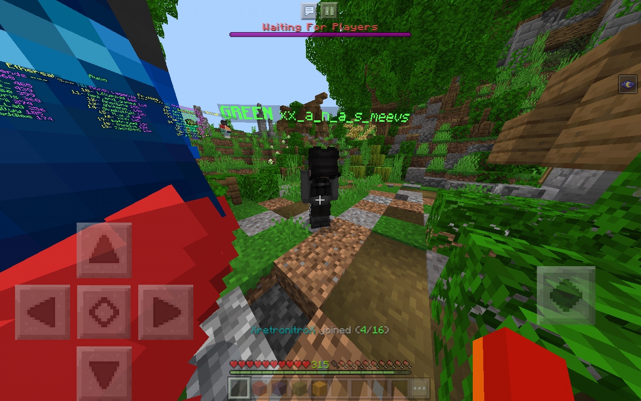 Screenshot_20200511-204038_Minecraft.jpg