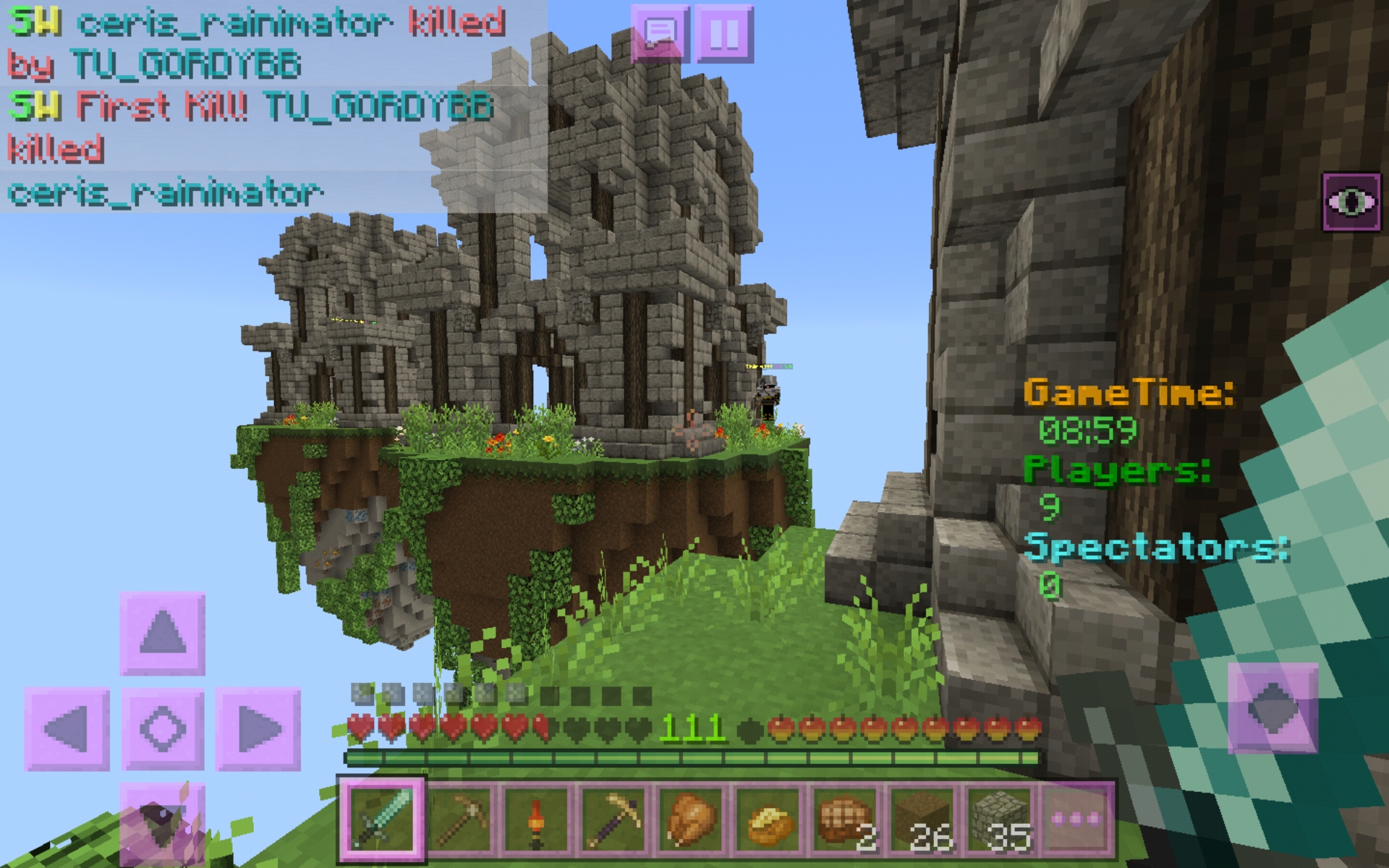 Screenshot_20200517-031722_Minecraft.jpg