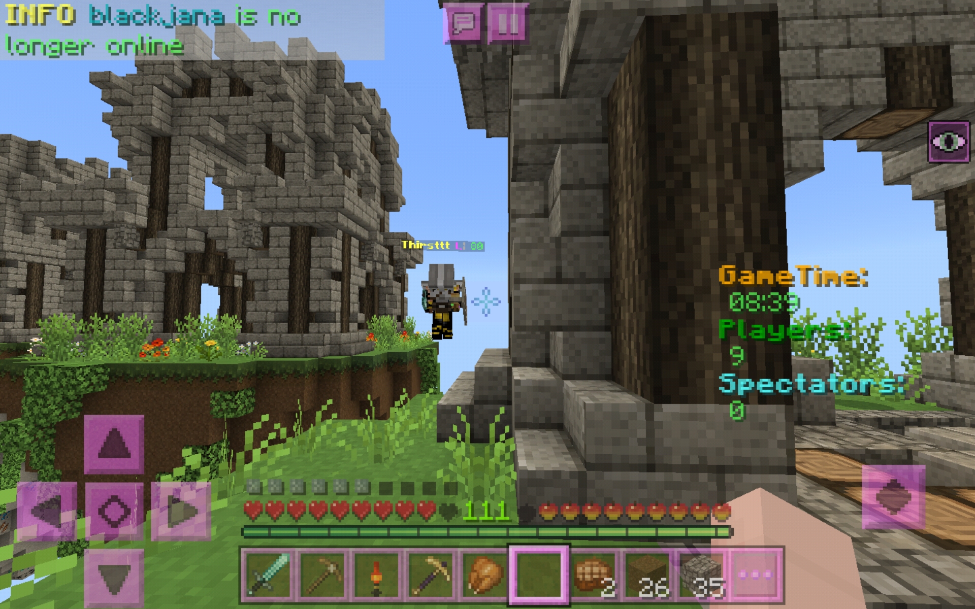 Screenshot_20200517-031742_Minecraft.jpg