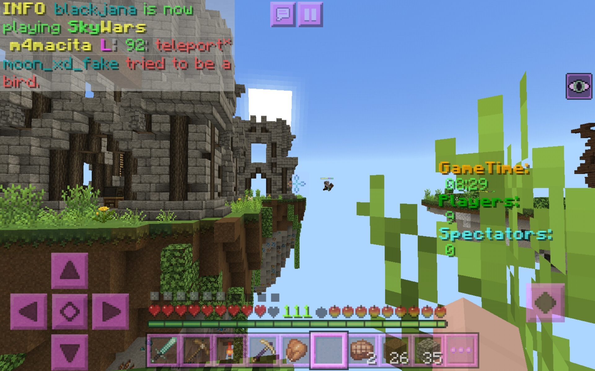 Screenshot_20200517-031756_Minecraft.jpg