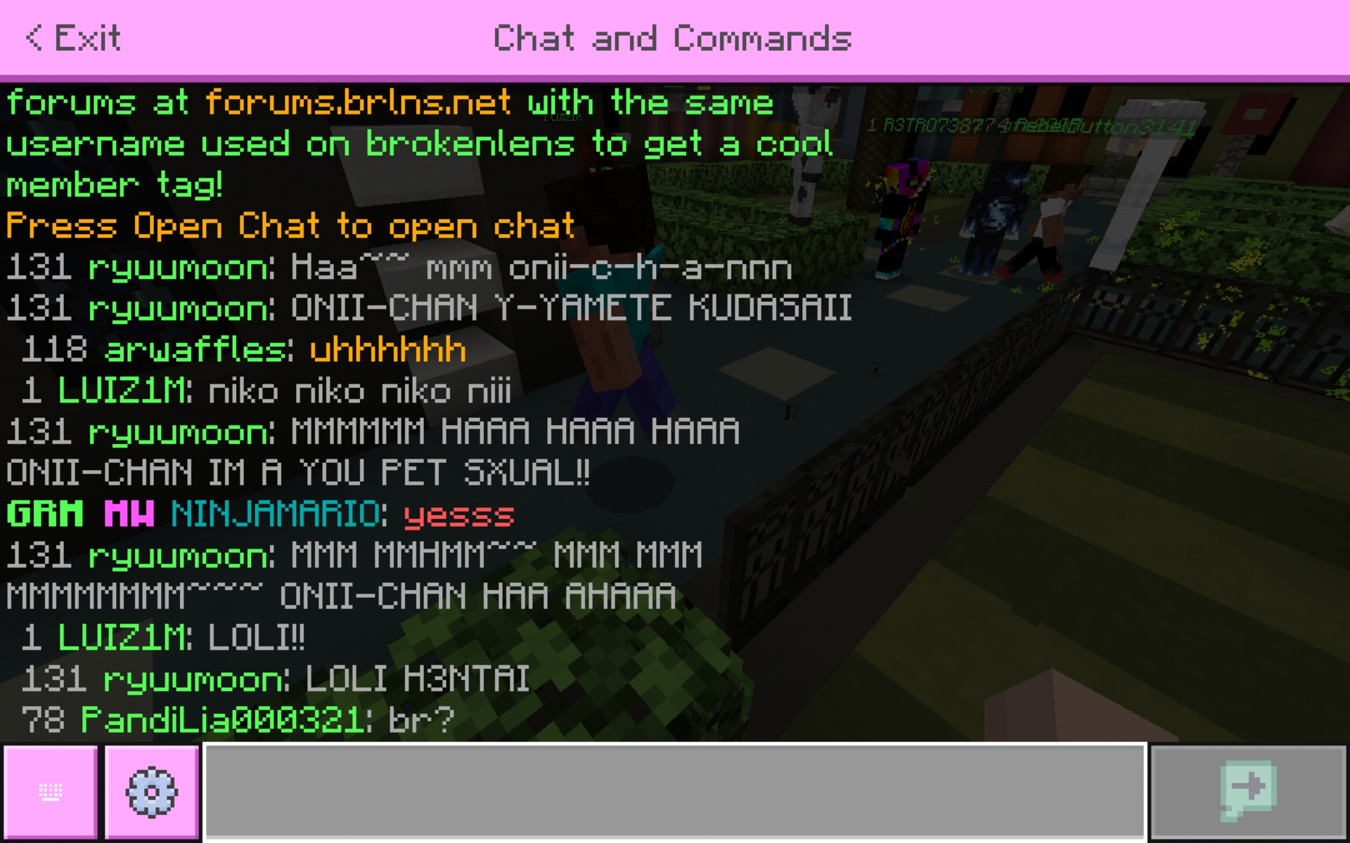 Screenshot_20200519-150223_Minecraft.jpg