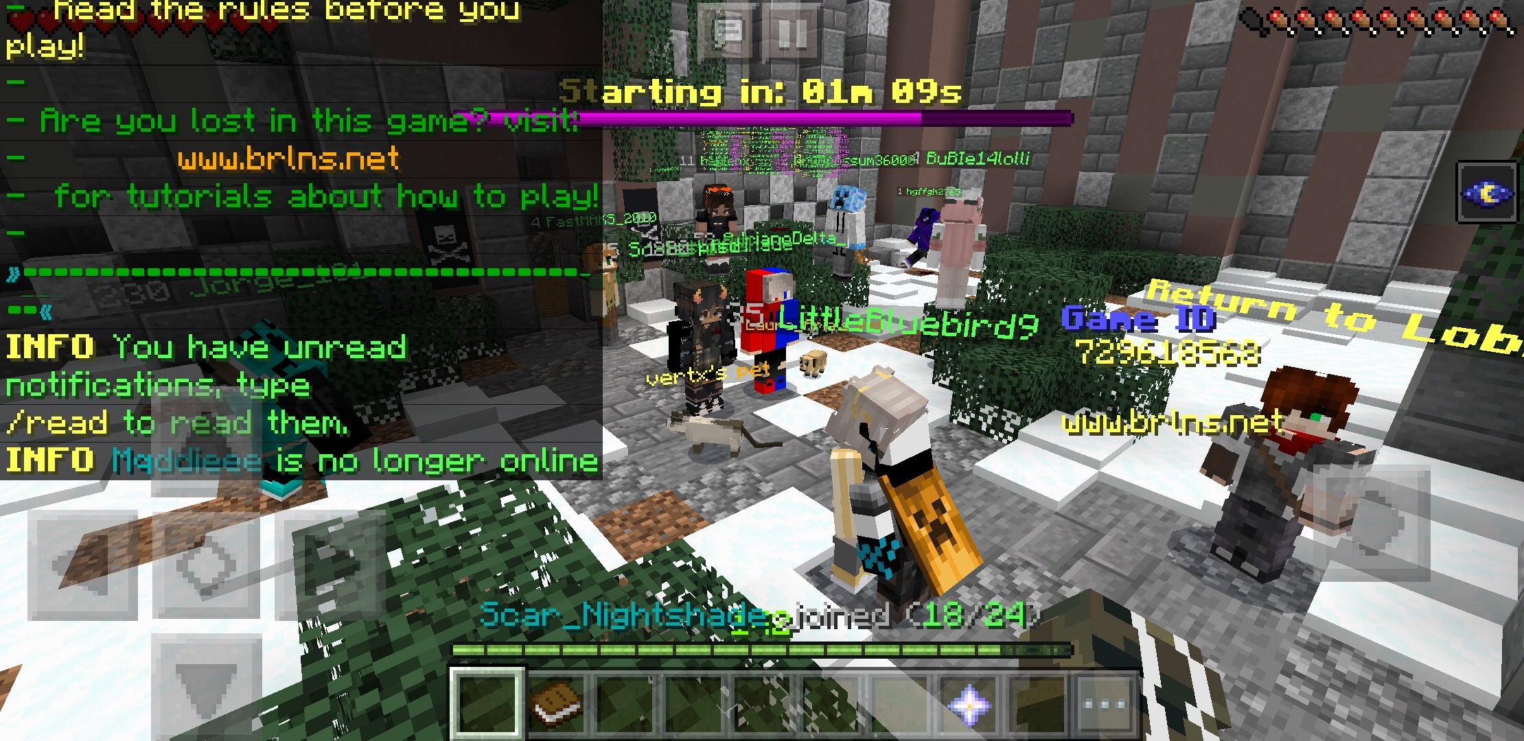 Screenshot_20200523-135224_Minecraft.jpg