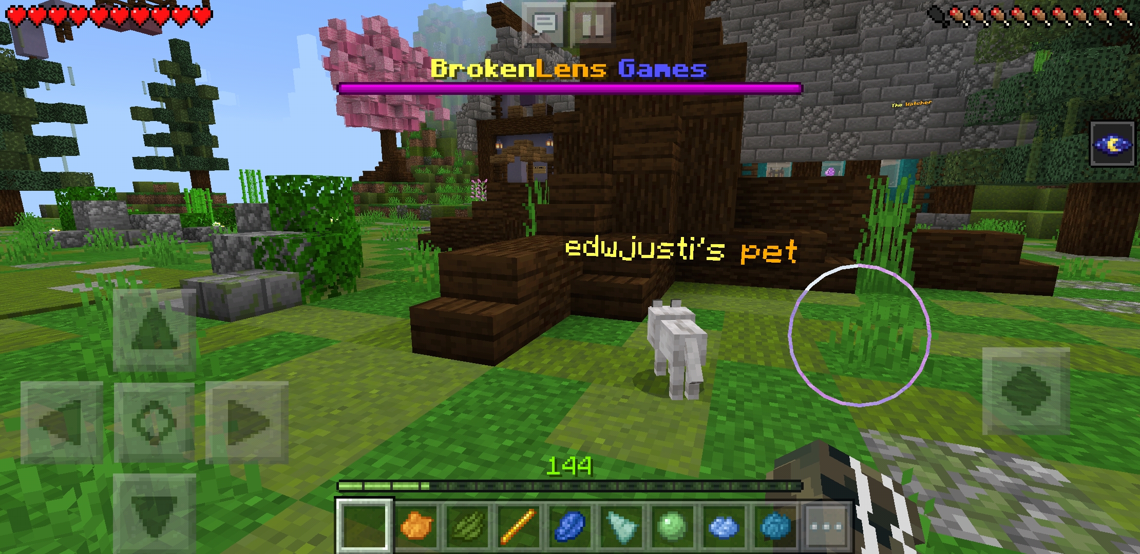 Screenshot_20200523-170213_Minecraft.jpg